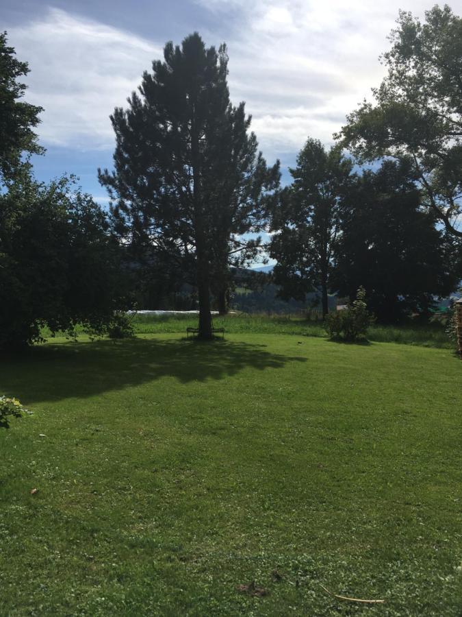 Naturforsthaus Gartenblick Fuer Hunde - Und Naturverbundene Menschen Preitenegg Exterior photo